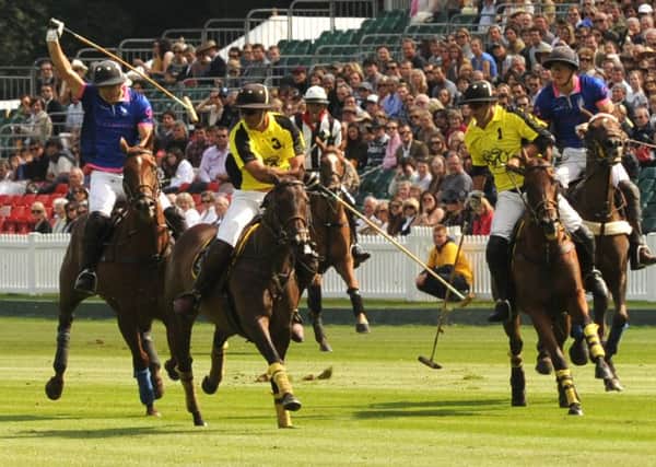 Some 20,000 people converge every year on Midhurst for the world class Gold Cup polo final