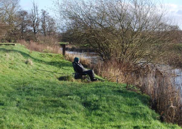 An angler on the River Rother
