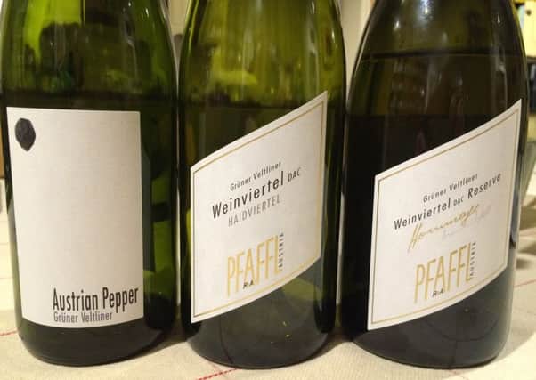 Austrian wines from Pfaffl Winery