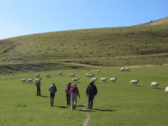 Four downland farms have been earmarked to be sold by Eastbourne Borough Council