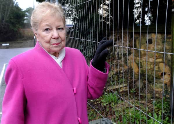Councillor Anne Jones is outraged over the state of a wall near Burgess hill station
Pic Steve Robards SR1701676 SUS-170131-150948001