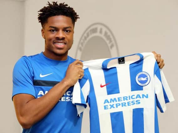 Chuba Akpom is on loan to Albion from Arsenal. Picture by Paul Hazlewood (BHAFC)