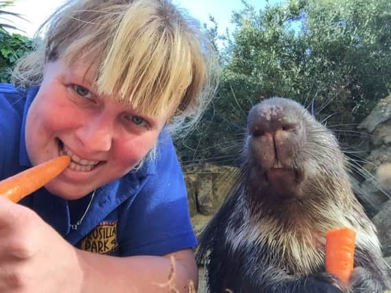 Zoo keeper Gemma eating carrots with Spike the porcupine