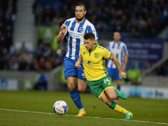 Brighton defender Shane Duffy. Picture by Phil Westlake (PW Sporting Photography)