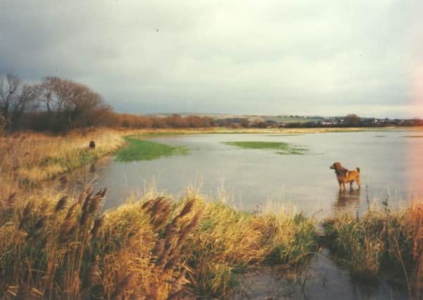 Historic flooding at New Monks Farm. Picture supplied by Bill Freeman