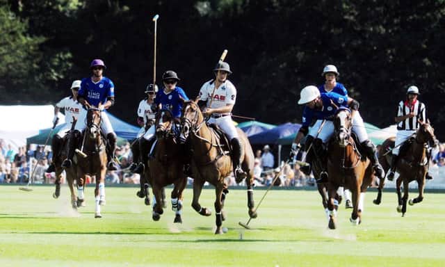Gold Cup polo action at Cowdray Park