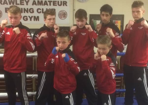 Crawley Boxing Club's Elite Junior Boxing squad.Back row (l-r) Jay Watkins, Kristian Reders, Tommy Cash, Amaan Ali Khan, Alin Iacoban. Front row (l-r) Jude Watkins and Harry Parsons SUS-170602-151907002