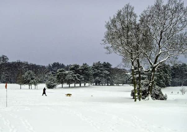 Lynette Lord's picture of Copthorne Golf Course