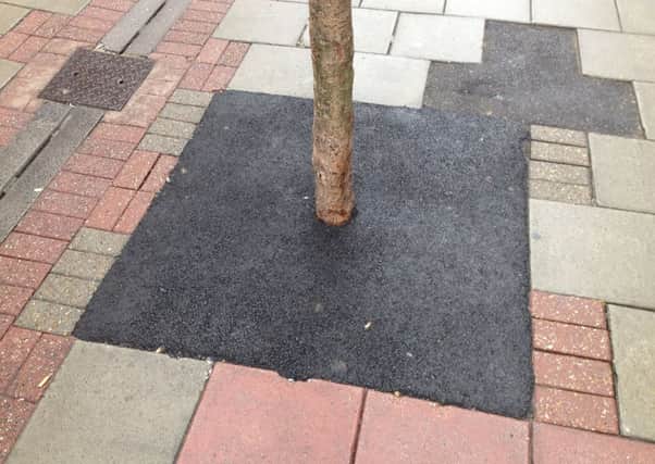 An earlier photo shows the tree was completely Tarmacked over to the trunk