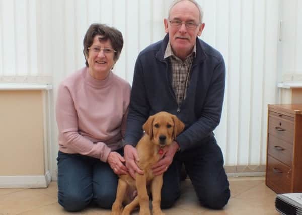 Puppy parents Christine and Philip Louis with Stefan, a 14-week-old labrador cross golden retriever