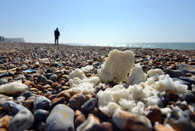 Palm oil found washed up on Seaford beach last year (2016) SUS-160504-222750008
