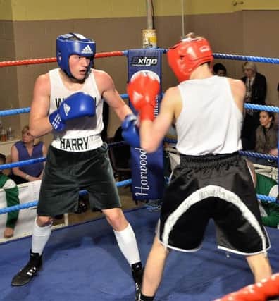 West Hill boxer Harry Burton sizes up his opponent. Picture courtesy Sid Saunders