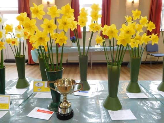 Beeding and Bramber Horticultural Society spring show SUS-160314-115624003