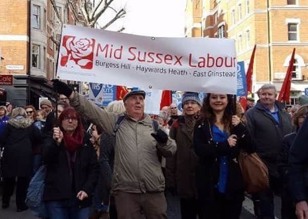 Party members at the London NHS rally. Picture: Burgess Hill Labour Party