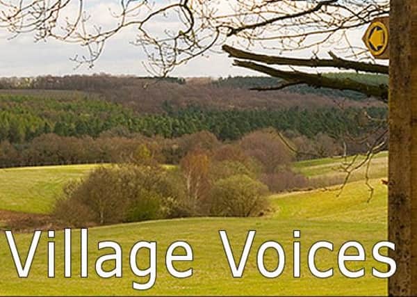 Village Voices SUS-161108-142636001