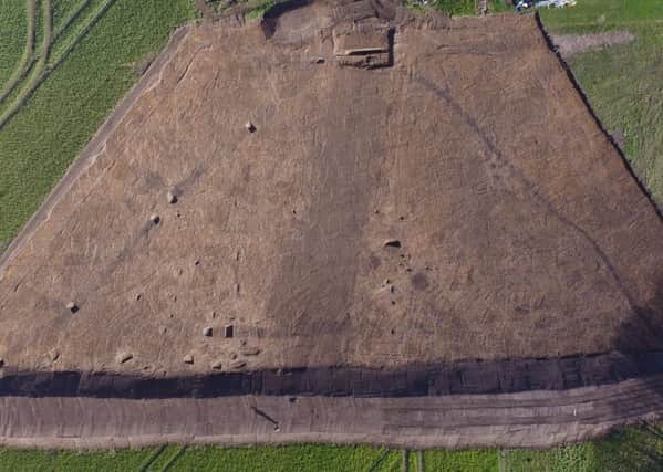 The 3,500sqm excavation site showing the triangular Bronze Age enclosure within the dark, perpendicular ditches coming from the top, and the thick, grey verticle line shows part of the Chichester Enthrenchments. Picture by Archaeology South-East (UCL)