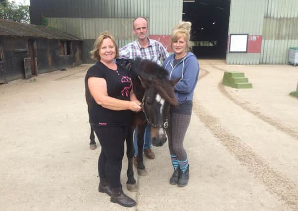 Mark Wright at Hunters Lodge Riding Stables SUS-161130-135144001