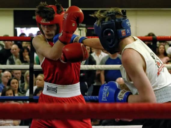 Plenty of bouts on offer at the 'Fit 2 Fight' event on Saturday.