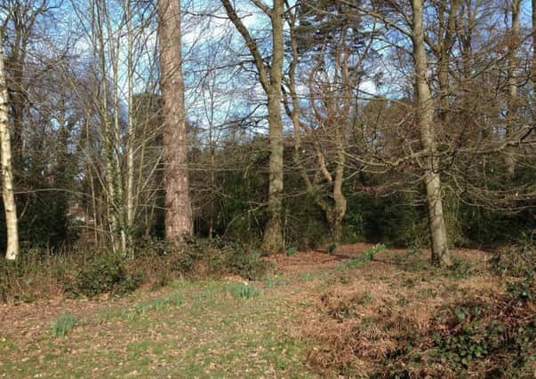 Works on the overgrown and unwelcoming woodland started yesterday (March 9)