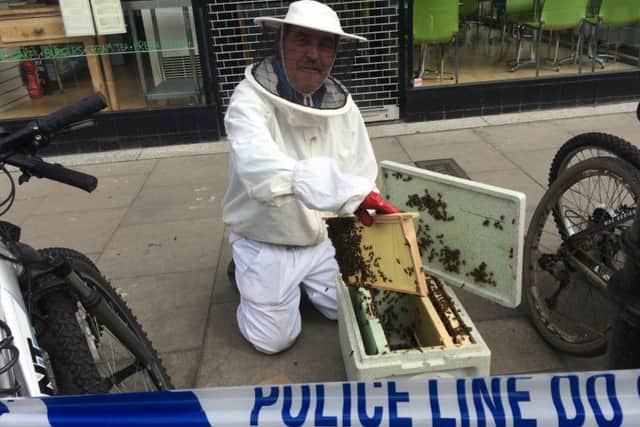 Tony Cropley, swarm collector for Chichester, collects more than 4,000 bees that had gathered outside shops in the town