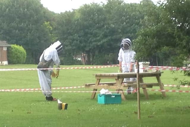 A swarm of bees is picked up in Lancing. Picture by Eddie Mitchell