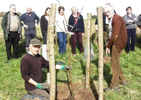 Roger Brown from Steyning Community Orchard holds the apple tree while Steyning Downland Scheme trustee Alan Chilver spades in the soil, watched by members of both groups