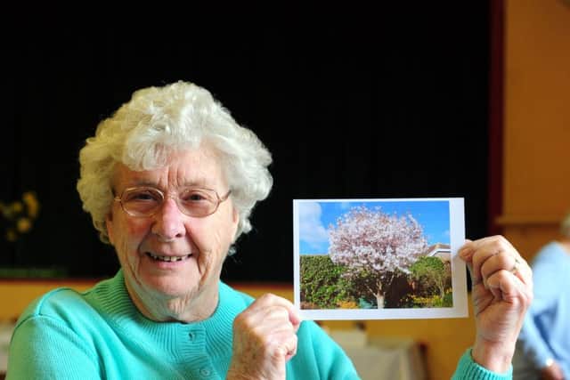 Cynthia Gardner with the photograph of a cherry tree she entered in the show. Pictures: Kate Shemilt ks170153-1