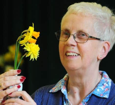 Carol Sullivan with her miniature daffodils ks170153-3