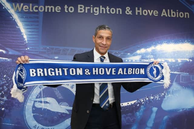 Chris Hughton, manager of Brighton & Hove Albion (photo: Paul Hazlewood)