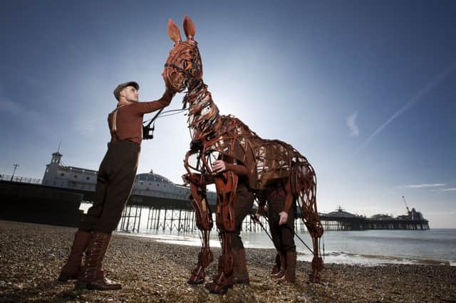 Joey the War Horse on Brighton beach (Photograph: Alex Rumford)