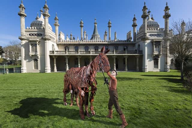 Joey the War Horse visits Brighton ahead of his UK tour (Photograph: Alex Rumford)