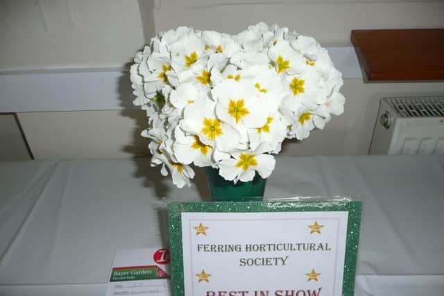 Pat Joslin's beautiful display of white polyanthus won Best in Show