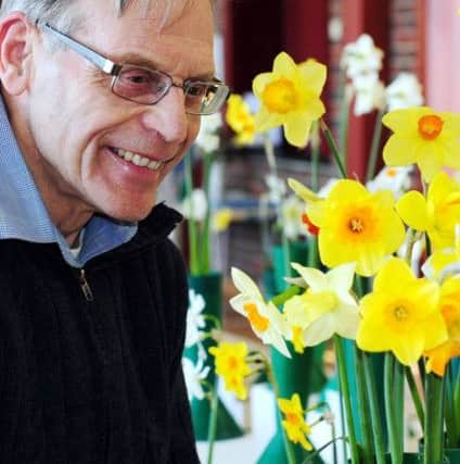 David Donovan with his daffodils ks170165-2
