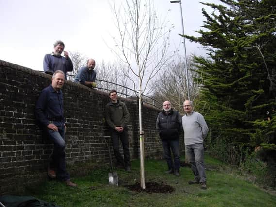 From left, committee members Phil Green, Nick Jarvis, Nick Jones, Dean Bell, Peter Thurman and David Saunders by a Himalayan birch. Photograph: Audrey Jarvis, chairperson of the committee