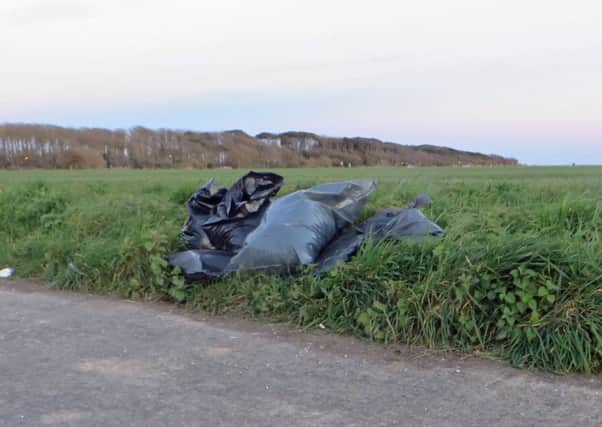 Worthing Labours Jim Deen took this picture of fly-tipped rubbish at Goring Gap to illustrate his concerns following changes at waste and recycling centres