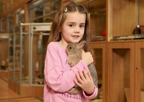 Pets at Home will stop selling rabbits this Easter. 
Picture Â© Jason Lock Photography. +44 (0) 7889 152747. +44 (0) 161 431 4012. info@jasonlock.co.uk. www.jasonlock.co.uk. SUS-170328-132836001