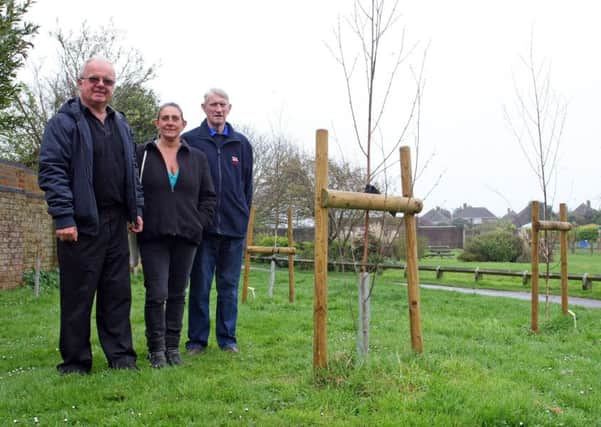 Trees cut in Mewsbrook Park Littlehampton. Clive and Sue Fennell and Tony Carter, right, beside the trees that were cut through. Photo by Derek Martin