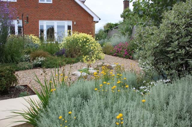 Award-winning Bexhill garden, designed by Frogheath Landscapes SUS-170329-135849001