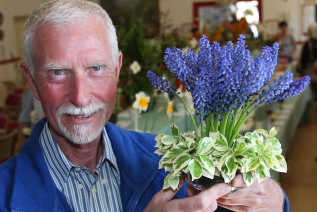 Graham Hobson with his first prize winning muscari DM17417831a