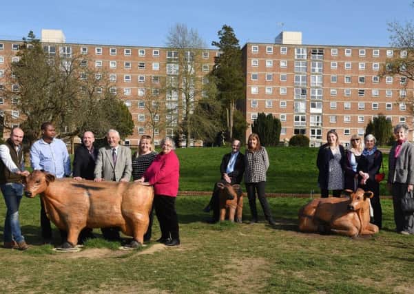Three life-size cows have been added to the park. Picture: Jon Rigby