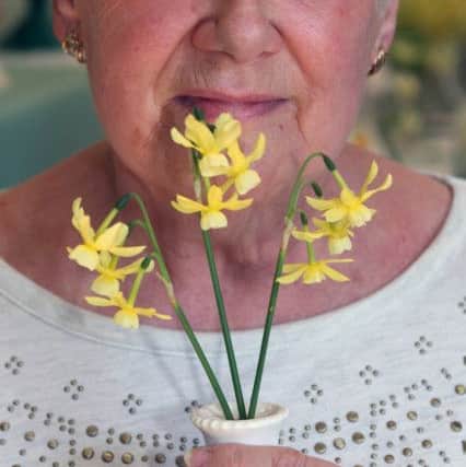 Maureen Bowen and her prize-winning miniature daffodils DM17417811a