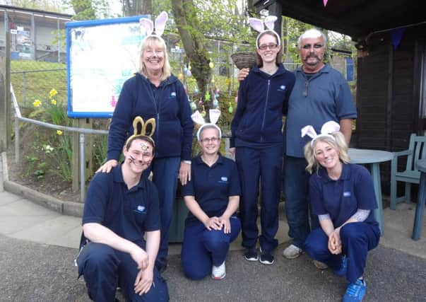 The team at Bluebell Ridge Easter Fun Day SUS-170418-095142001