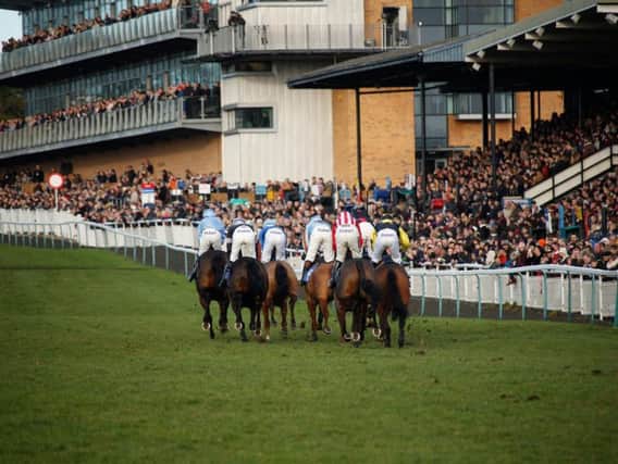 They're back in action at Fontwell / Picture by Clive Bennett