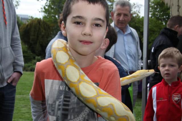 Reptile handling will be part of the science and technology fair