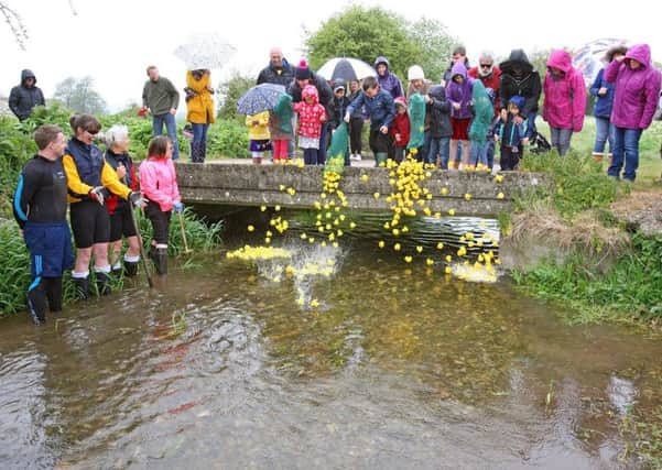 Charity representatives launch the 400 ducks into the river for the 22nd annual Lavant Duck Race. Picture: Derek Martin DM17421766a