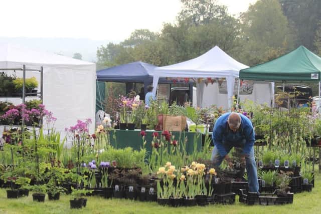 The prestigious fair has become known as West Sussex's 'mini chelsea'. Picture: St Catherine's Hospice
