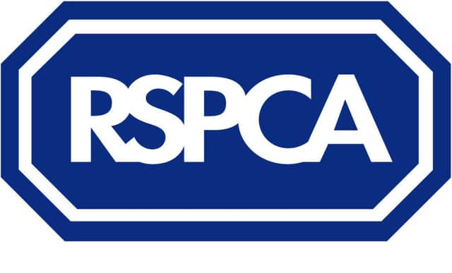 RSCPA logo ANL-141203-141723001