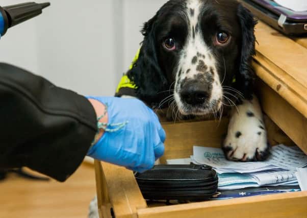 Police officers and dogs are targeting drug crime in Crawley this weekend. Picture: Sussex Police