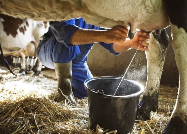 Cows milk, not soya, best for kids