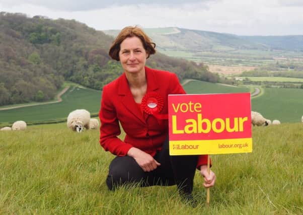 Caroline Fife, Labour candidate for Arundel and South Downs (photo submitted). SUS-170105-151627001